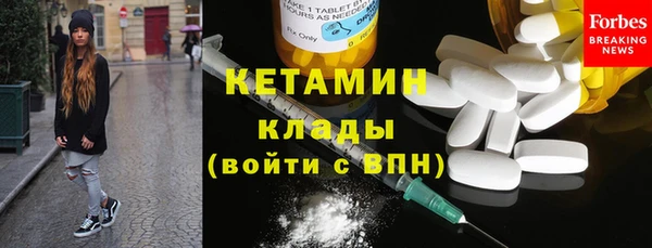 шишки Арсеньев