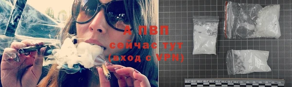 шишки Арсеньев