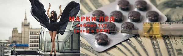 шишки Арсеньев