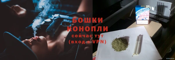 сатива Россошь