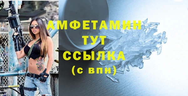 шишки Арсеньев