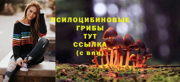 прущие крисы Алексин
