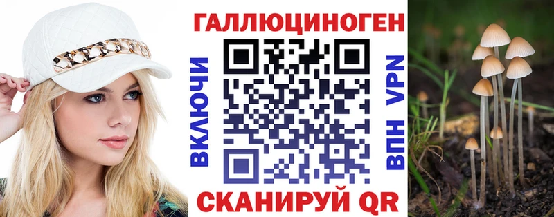 Галлюциногенные грибы Magic Shrooms  цена   Лагань 